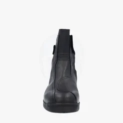 Daytona Rainbow GTX black><noscript><img width=