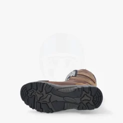 Forma Adventure brown><noscript><img width=